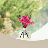 Lovely Peony