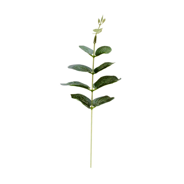 a green plant with leaves