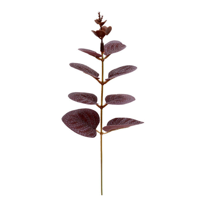 a close up of a plant