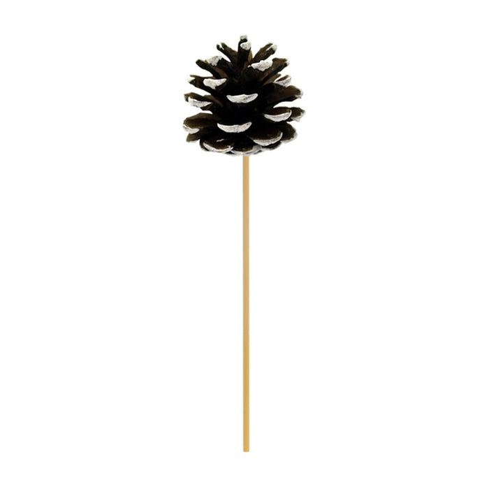 [Stick]Conifer Cone