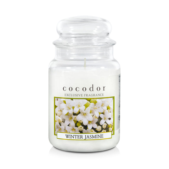 Large Jar Candle [Winter Jasmine]