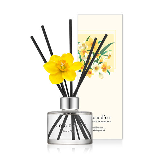 cocodor Daffodil Preserved leaf Diffuser 120ml Black Cherry oil reed diffuser refill fragrance