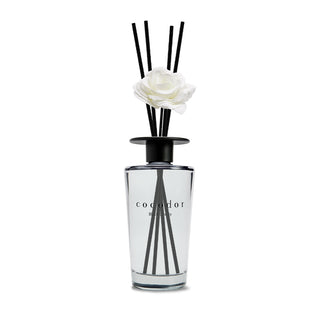 a white flower in a glass bottle