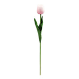 [Stick]Tulip_Light Pink_29cm