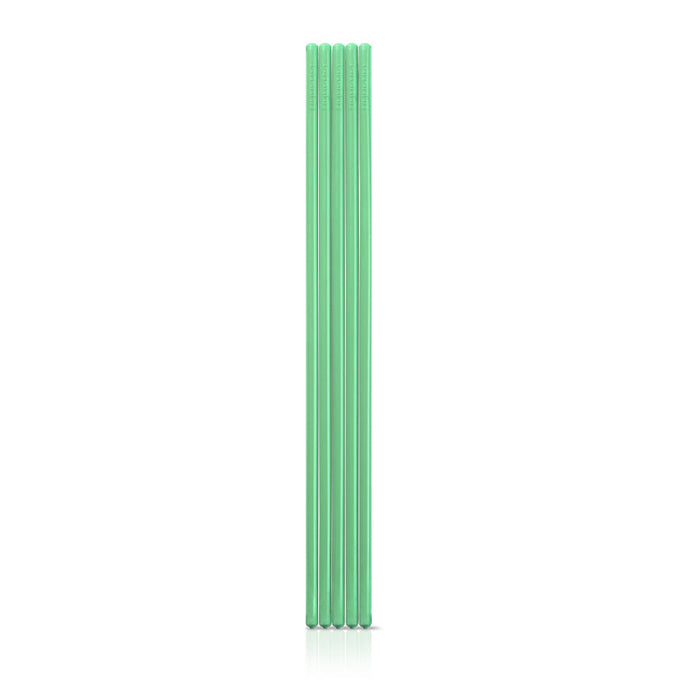 Scented Stick Air Freshner [Eucalyptus]